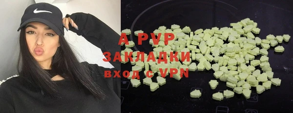 стафф Волоколамск