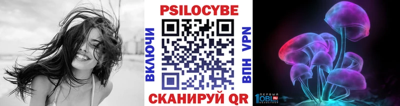 где продают наркотики  Барнаул  Псилоцибиновые грибы Cubensis 